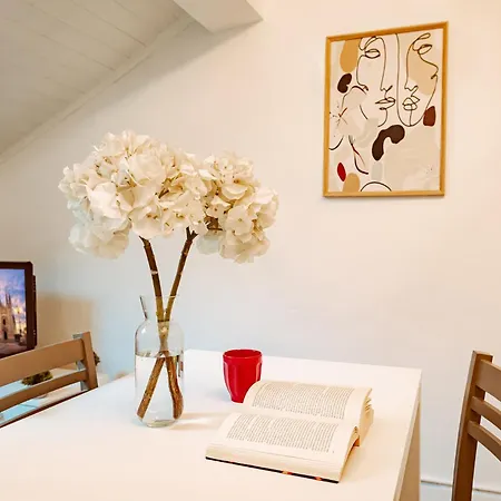 Loft Bocconi 公寓 米兰
